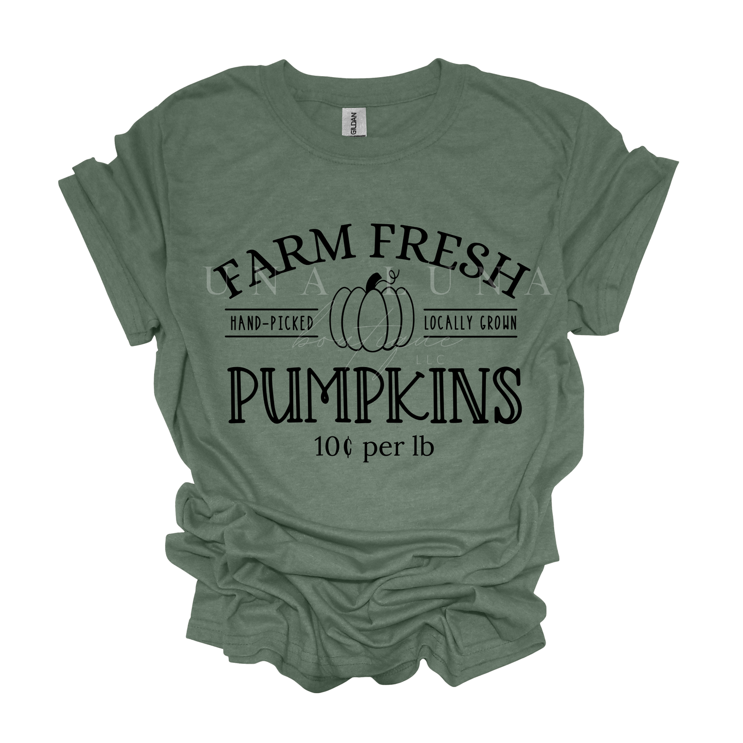 Farm Fresh Pumpkins