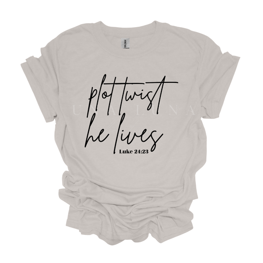 Plot Twist Script (Black)